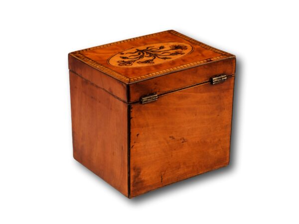 Side of the Satinwood Tea Caddy