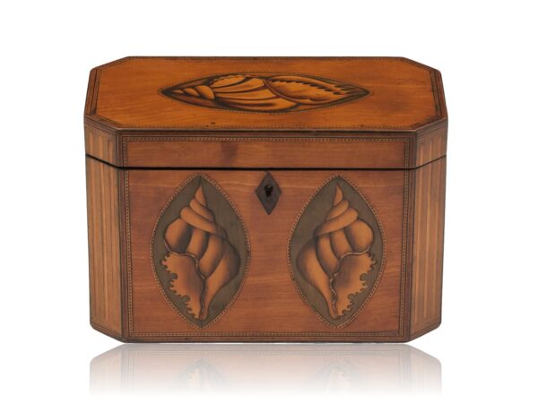 Overview of the Satinwood Tea Caddy