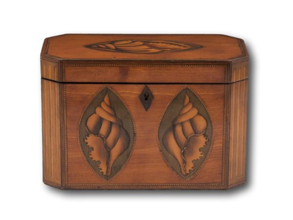 Front of the Satinwood Tea Caddy
