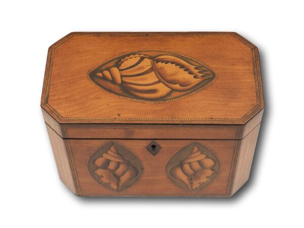 Top of the Satinwood Tea Caddy