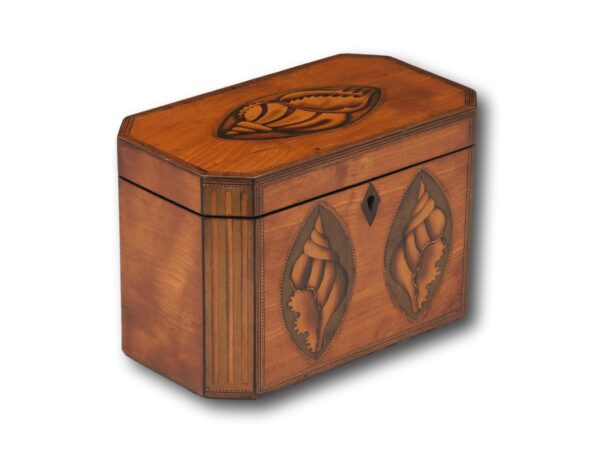 Front overview of the Satinwood Tea Caddy