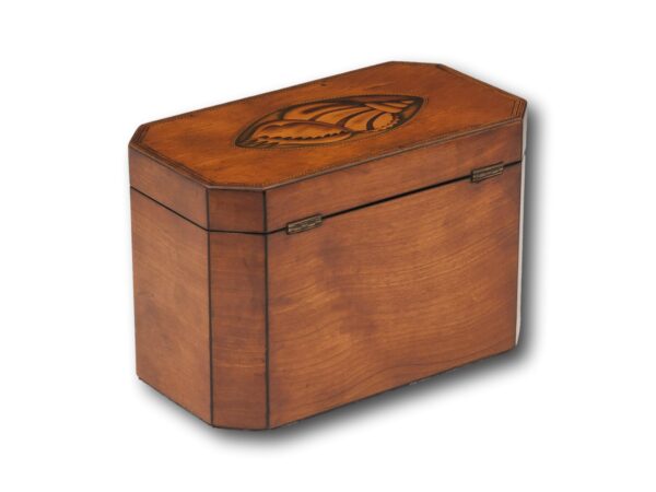 Rear overview of the Satinwood Tea Caddy