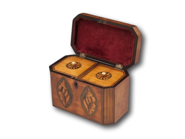 Overview of the Satinwood Tea Caddy with the lid up