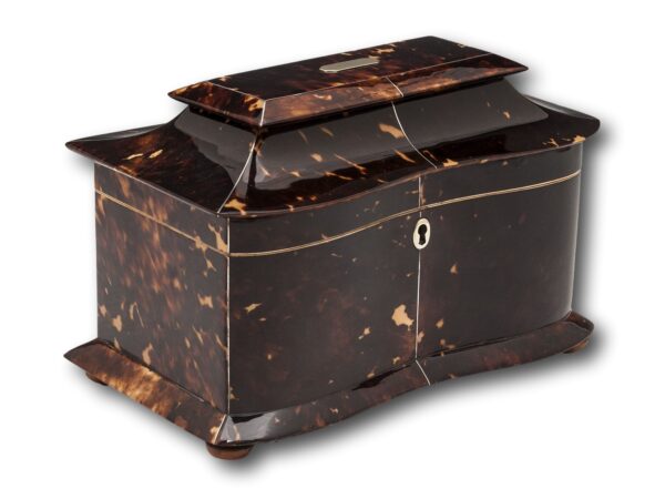 Front Overview of the Georgian Serpentine Tortoiseshell Tea Caddy