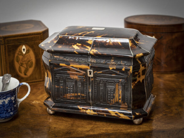 Front overview of the Pressed Regency Architectural Tortoiseshell Tea Caddy in a collectors setting