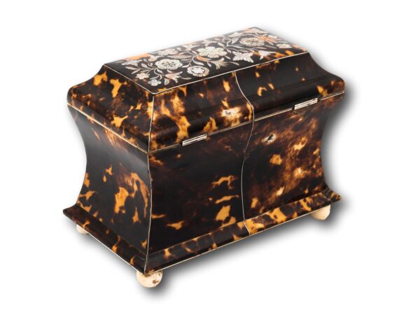 Rear overview of the Regency Mother of pearl and Tortoiseshell Tea Caddy