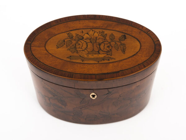antique oval tea caddy top down on a white background