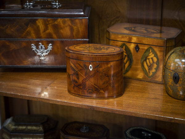 antique oval tea caddy on display on a shelf with other caddies