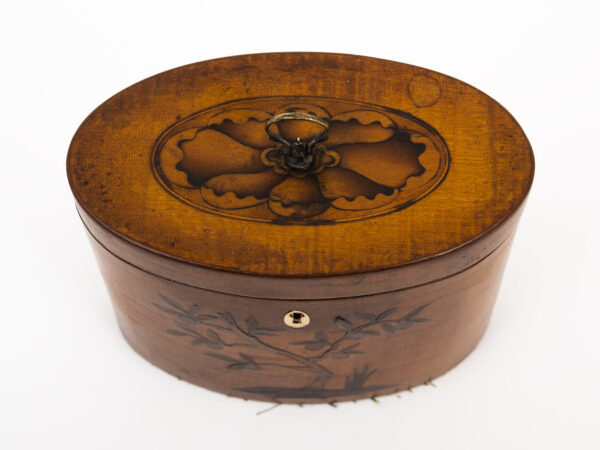 Satin Harewood Tea Caddy on a white background top down view