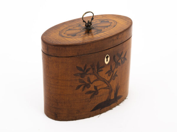 Satin Harewood Tea Caddy on a white background side angle view