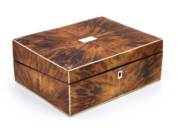 Vibrant Blonde Tortoiseshell writing box