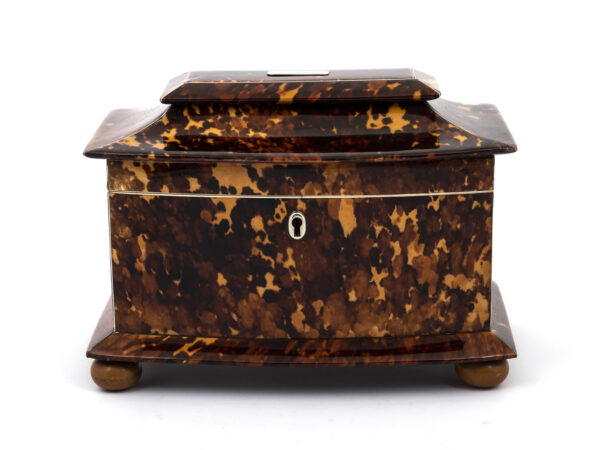 Bow front tea caddy