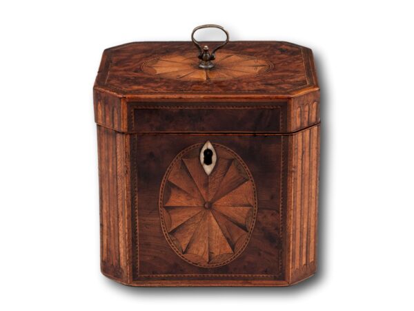 Overview of the Georgian Burr Yew Tea Caddy