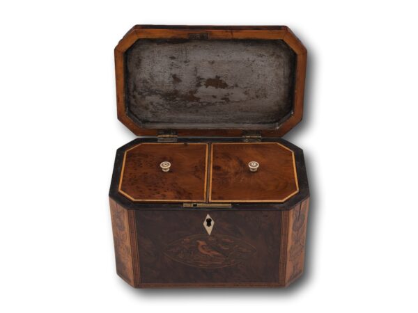Overview of the Georgian Burr Yew Tea Caddy with the lid open