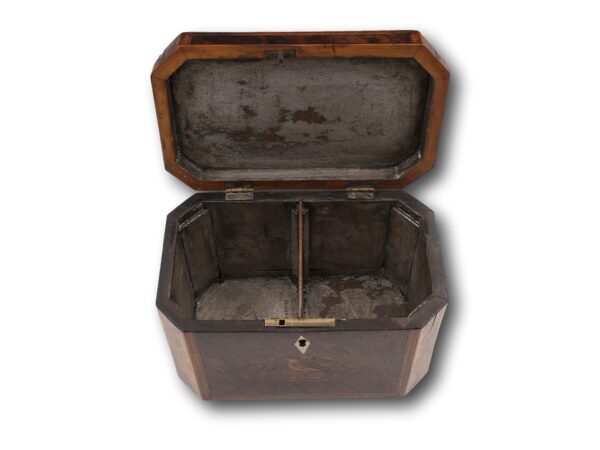 Overview of the Georgian Burr Yew Tea Caddy silver foil lined compartments