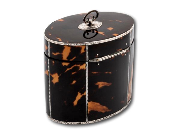 Overview of the rear of the Tortoiseshell Tea Caddy