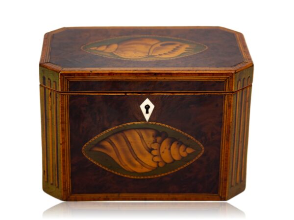 Overview of the Burr Yew Tea Caddy