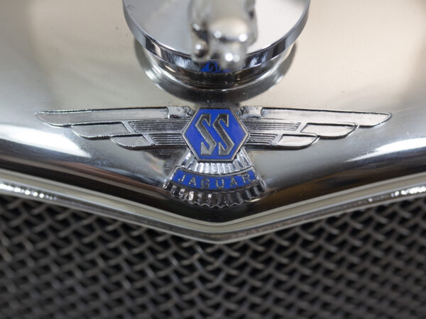 Close up of the SS Badge