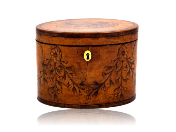 Overview of the Georgian Satinwood Tea Caddy