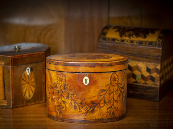 Georgian Satinwood Tea Caddy in a decorative collectors setting to see the scale