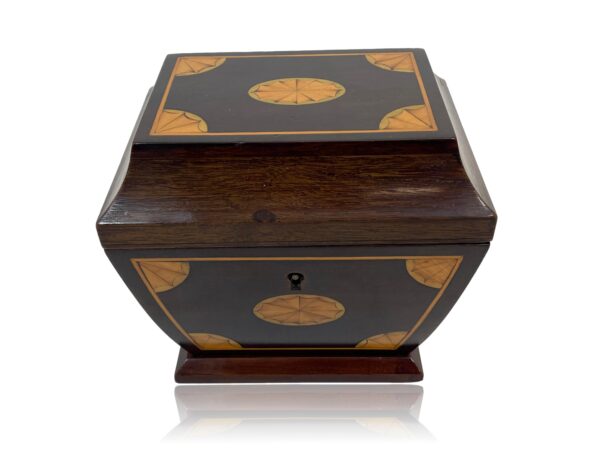 Overview of the Edwardian Sarcophagus Tea Caddy