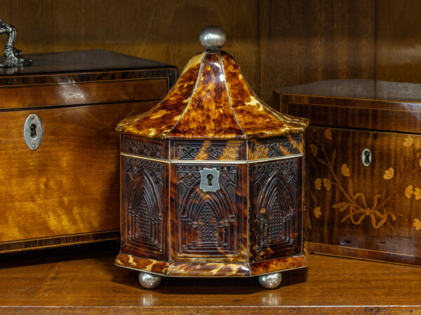 Overview of the regency octagonal tortoiseshell tea caddy in a collectors setting