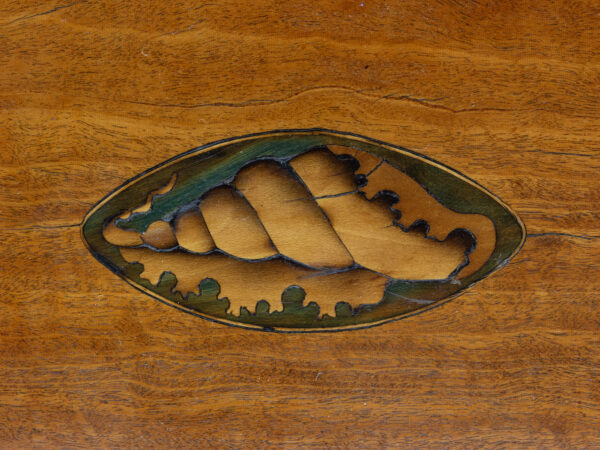 Close up of the Conch shell inlay