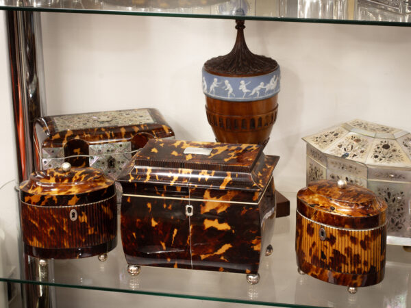 Overview of the Regency Tortoiseshell Tea Caddy in a decorative setting next to two similar tea caddies