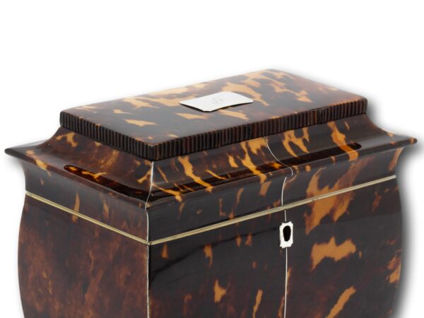 Top overview of the Regency Tortoiseshell Tea Caddy showing the pressed rib boarder