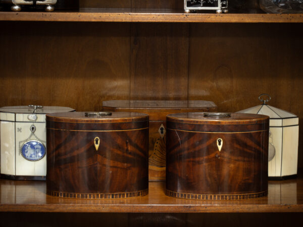 Front of the Georgian Pair of Mahogany Tea Caddies in a decorative collectors setting