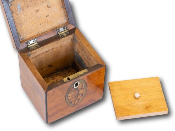 Overview of the interior of the Miniature Satinwood Tea Caddy