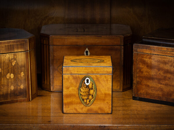 Overview of the Miniature Satinwood Tea Caddy in a decorative setting