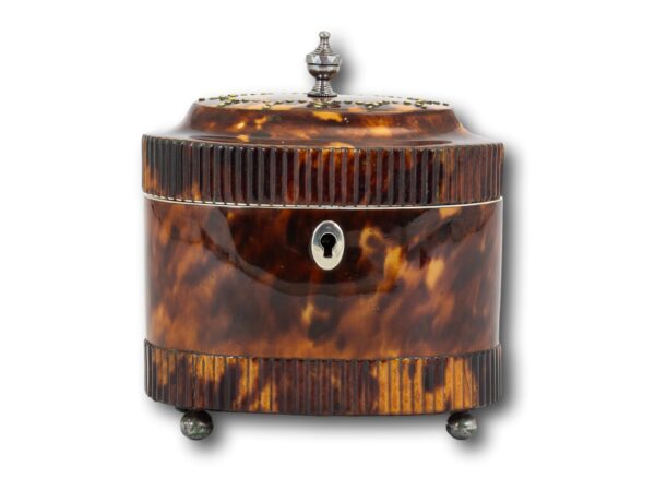 Front of the Regency Oval Tortoiseshell Tea Caddy