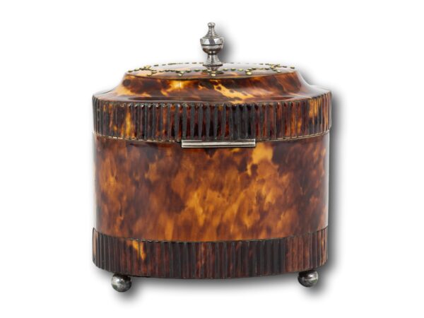 Rear of the Regency Oval Tortoiseshell Tea Caddy