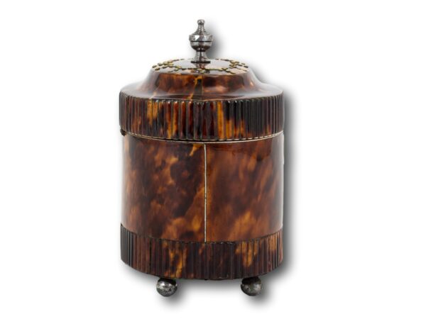 Side of the Regency Oval Tortoiseshell Tea Caddy