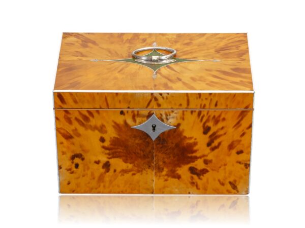 Front of the George III Blonde Tortoiseshell Tea Chest