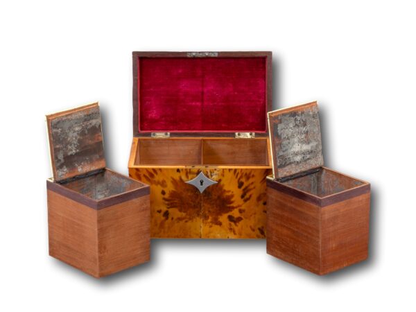 Front overview of the George III Blonde Tortoiseshell Tea Chest with the lid up and Tea Caddies removed