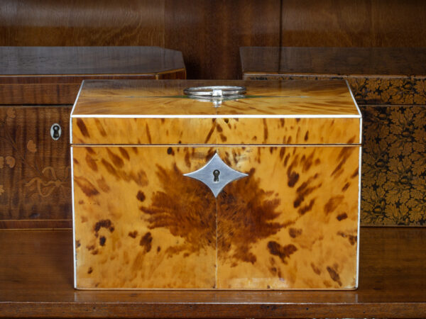 Overview of the George III Blonde Tortoiseshell Tea Chest in a decorative collectors setting