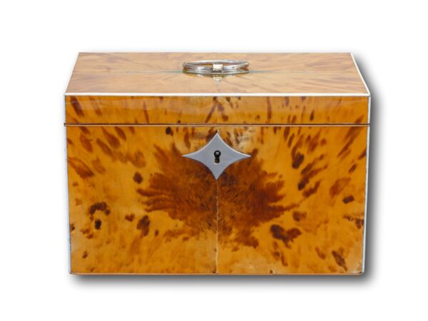 Front of the George III Blonde Tortoiseshell Tea Chest