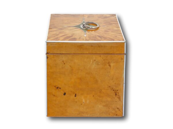 Side of the George III Blonde Tortoiseshell Tea Chest