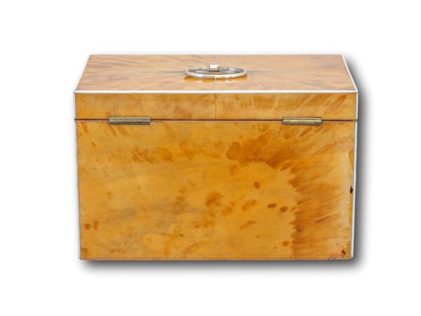 Rear of the George III Blonde Tortoiseshell Tea Chest