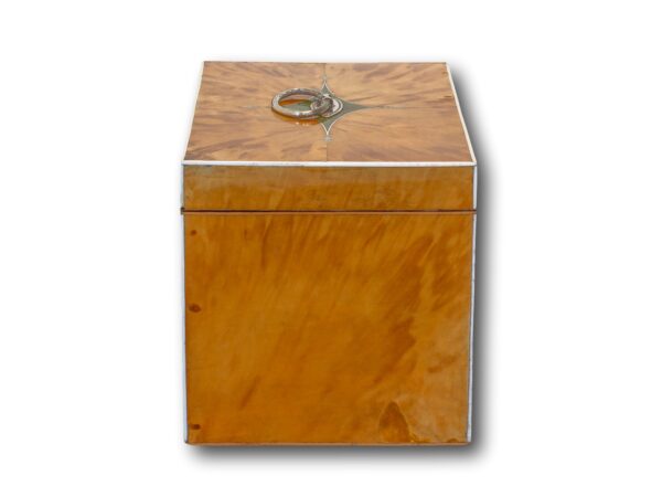 Side of the George III Blonde Tortoiseshell Tea Chest