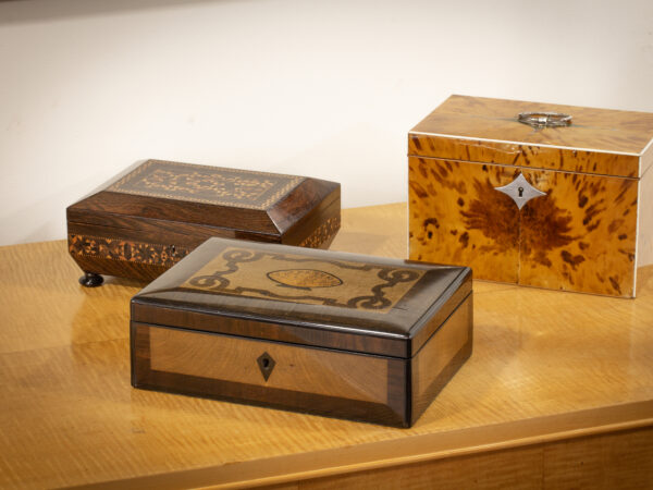 Decorative photo of the palm wood box in a collectors setting