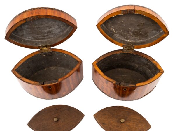 Front of the Georgian Pair of Satinwood Tea Caddies with the lids up and floating lids removed