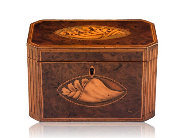 Front of the Burr Yew Shell Inlaid Tea Caddy