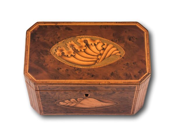 Top of the Burr Yew Shell Inlaid Tea Caddy