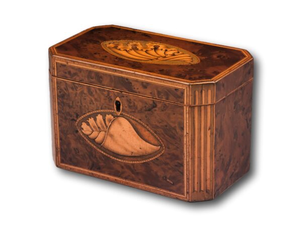 Front overview of the Burr Yew Shell Inlaid Tea Caddy