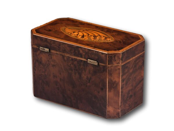 Rear overview of the Burr Yew Shell Inlaid Tea Caddy