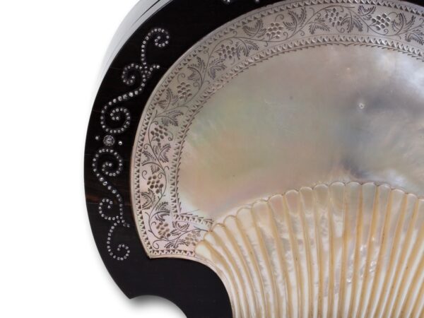 Close up of the shell on the Coromandel and Mother of Pearl Jewellery Box Briggs