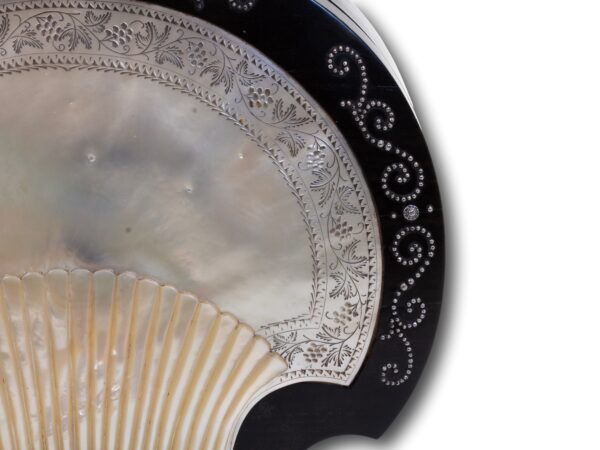 Close up of the shell on the Coromandel and Mother of Pearl Jewellery Box Briggs